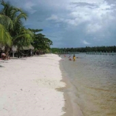 Amazona White Beach - Domburg | Suriname