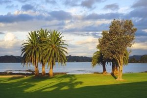 New Zealand | The Bay of islands 4Day Love Nature tour to swim, snorkel, kayak, sail 