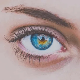 Revive | Organic •• Dual Purpose