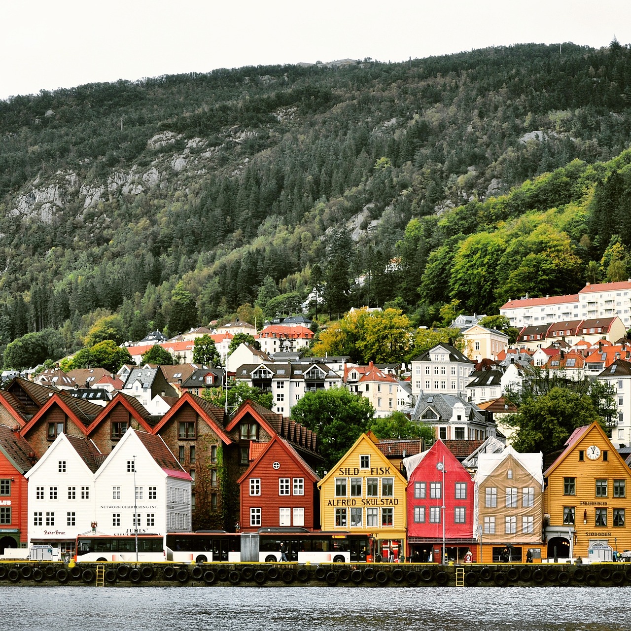 Electric Car Hire Bergen