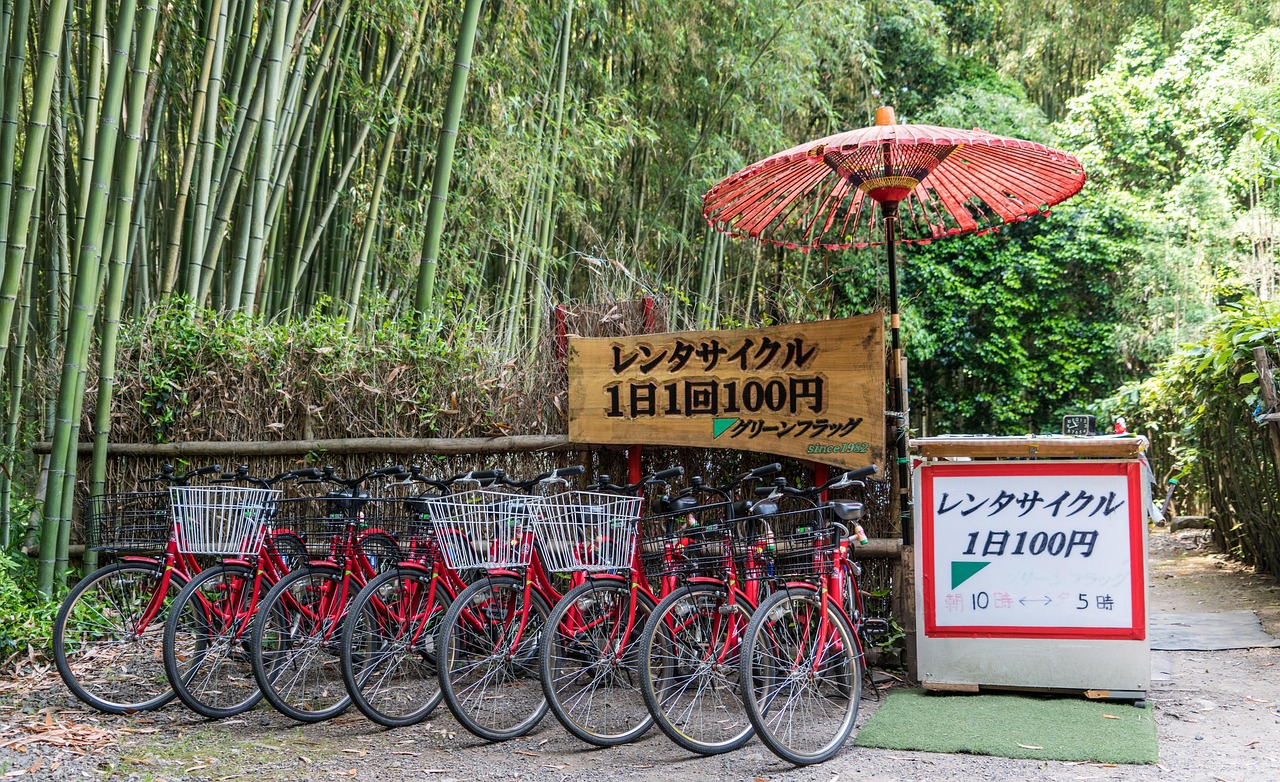 Hybrid Car Hire Kyoto