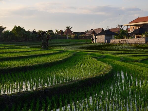 Electric Scooter Hire Bali