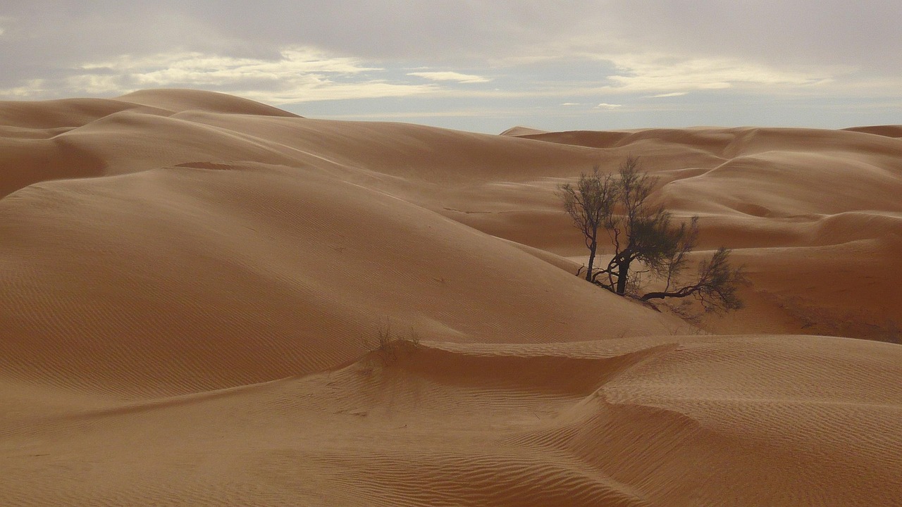 Car Hire Tunisia Africa