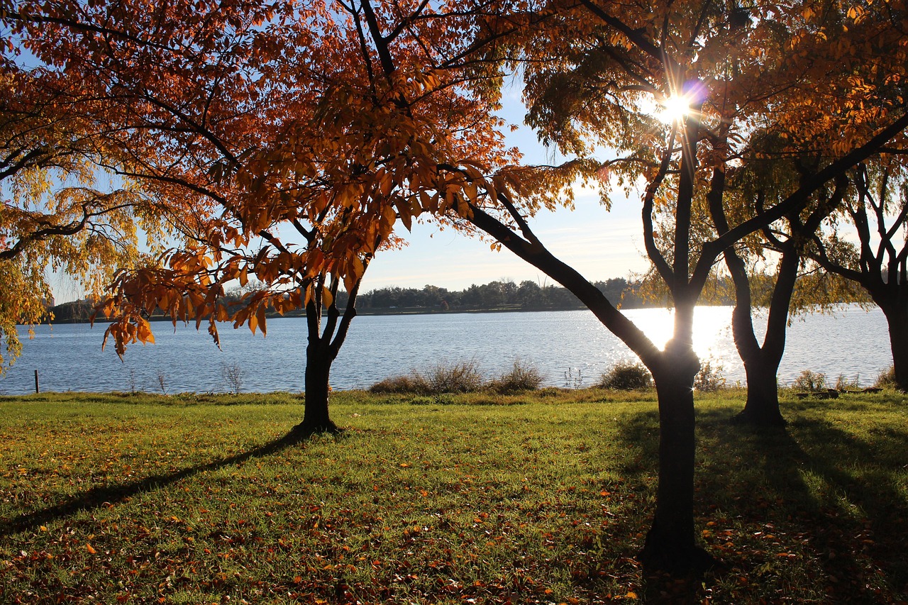 Potomac River Cruises