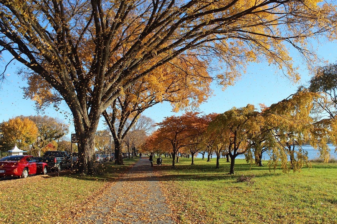 Potomac River Cruises