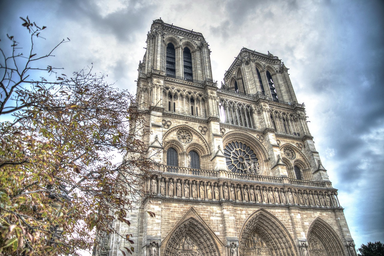 Notre-Dame + Ile de la Cite + Seine Cruise