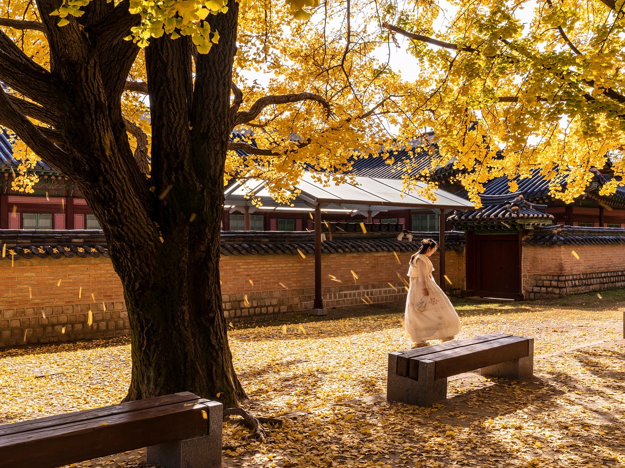 Scenic South Korea
